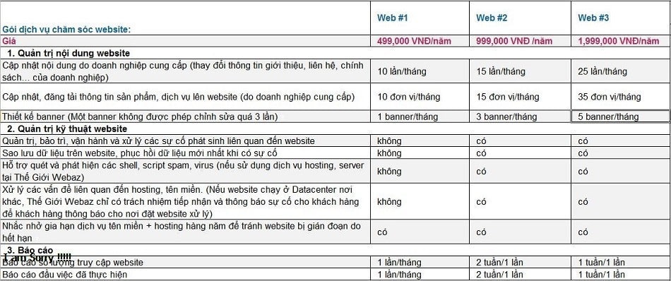 giá chăm sóc website